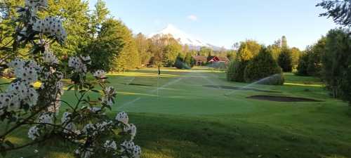 Venta Parcelas en Los Riscos a 1km del camino Villarrica - Puc�n 