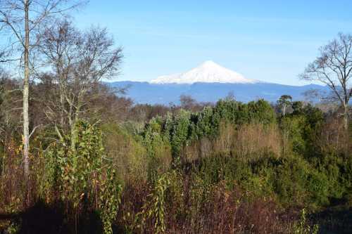 Venta Parcela en Villarrica con vista al volc�n y acceso a lago
