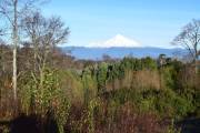 Venta Parcela en Villarrica con vista al volc�n y acceso a lago