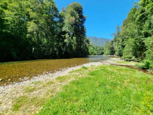 Venta Parcela 51 C en Loteo Daw�lco con orilla de r�o