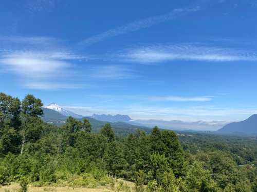 Venta Caba�a en 1ha de terreno, Pichares