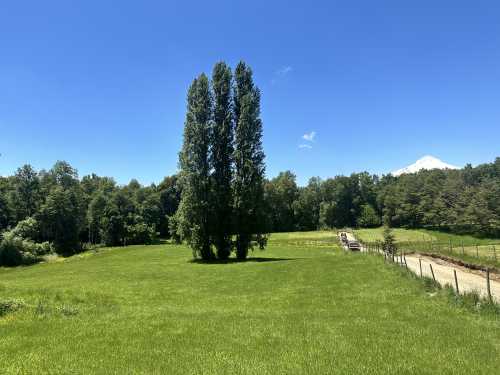 Venta Parcelas en loteo Lefun con vista al volc�n Villarrica