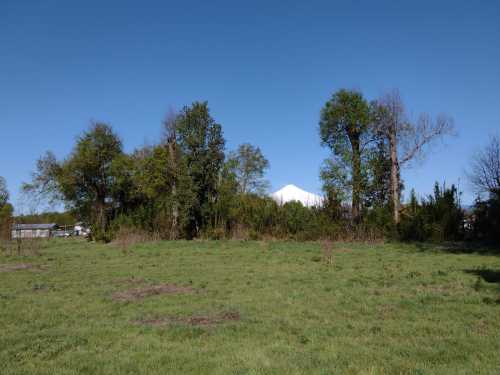 Venta Parcela en Loteo El Tilo 