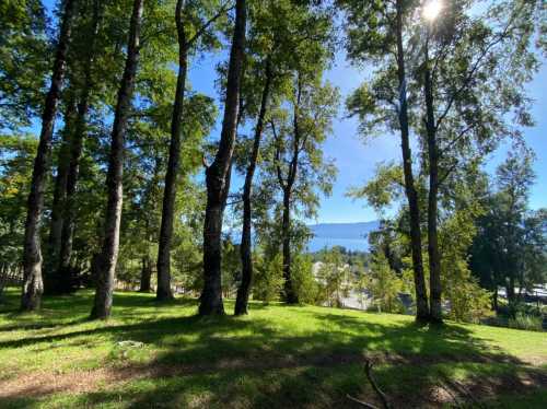 Venta Parcela N�61 en Condominio Canto del Lago 