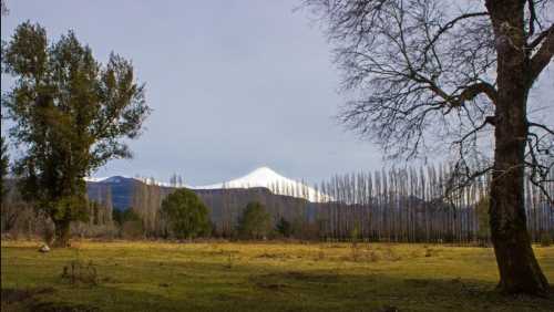 Venta Parcela con orilla de R�o Palguin