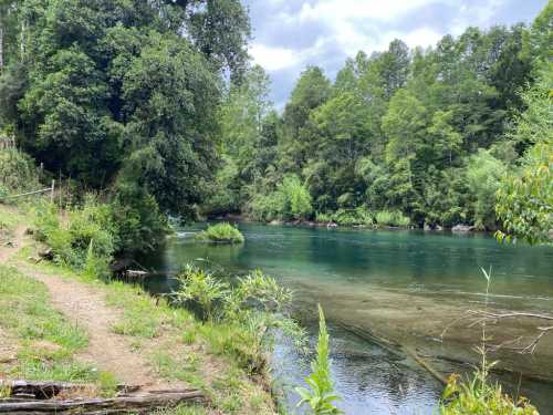 Venta Parcela N�6 El Remanso del Liucura