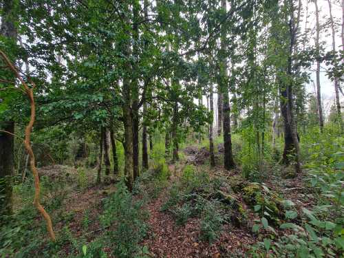 Venta Parcela N�20 en Condominio El Mirador, Puc�n