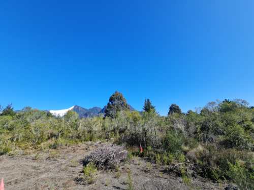 Venta de Parcela N�41 en Hacienda Santa Valentina, Puc�n