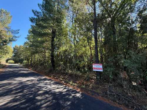 Venta Parcela en Sector Los Nevados a 13km de Puc�n 