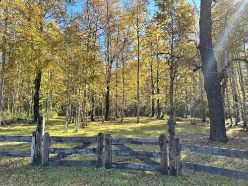 Venta Parcela en Condominio Country Aliwen, Pasaje Arriagada