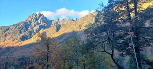 Venta Parcela con Orilla de R�o, sector Puesco Bajo