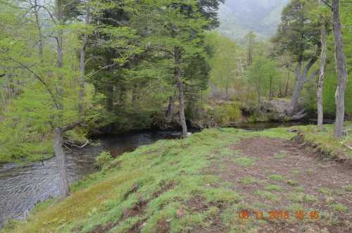 Venta Parcelas en Loteo Rio Panqui,  Curarrehue