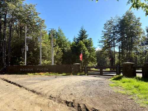 Venta Parcelas en Loteo Bosque Pucon, Los Nevados