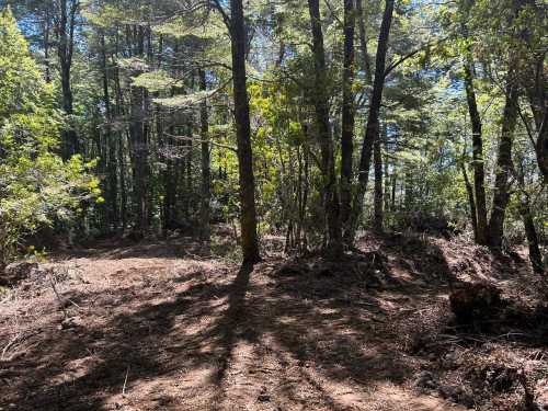 Venta Parcela N°100 en Condominio Bosque Pucon, sector Los Nevados