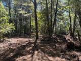 Venta Parcela N°100 en Condominio Bosque Pucon, sector Los Nevados