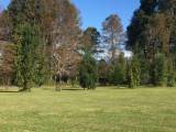 Venta Parcela Lote 8 Lote El Cristo Caburgua, Puc�n